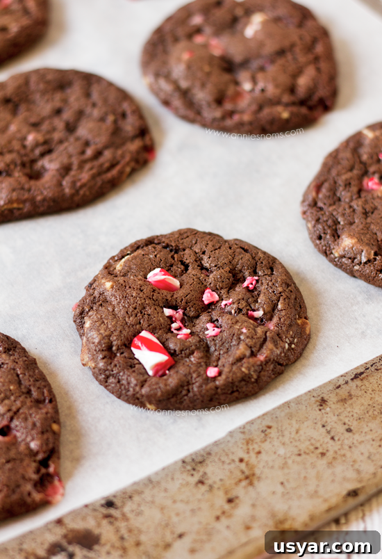Close-up of candy cane fudge cookies with creamy white chocolate.