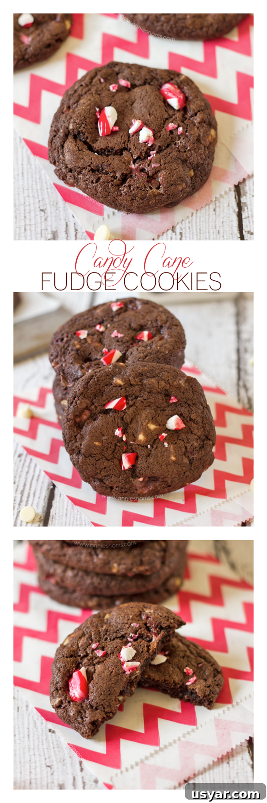 Candy Cane Fudge Cookies collage showing festive chocolate peppermint cookies.