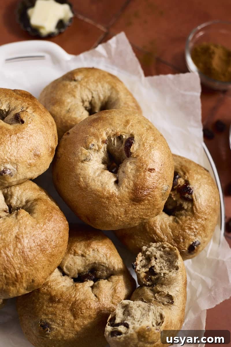 Cinnamon Raisin Sourdough Discard Bagels 2 Sourdough Discard Cinnamon Raisin Bagels in a pile.