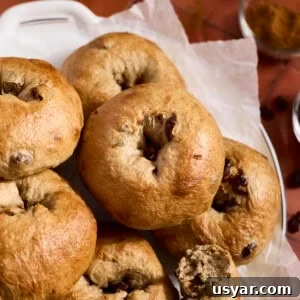 Cinnamon Raisin Sourdough Discard Bagels 11 Sourdough Discard Cinnamon Raisin Bagels in a pile.