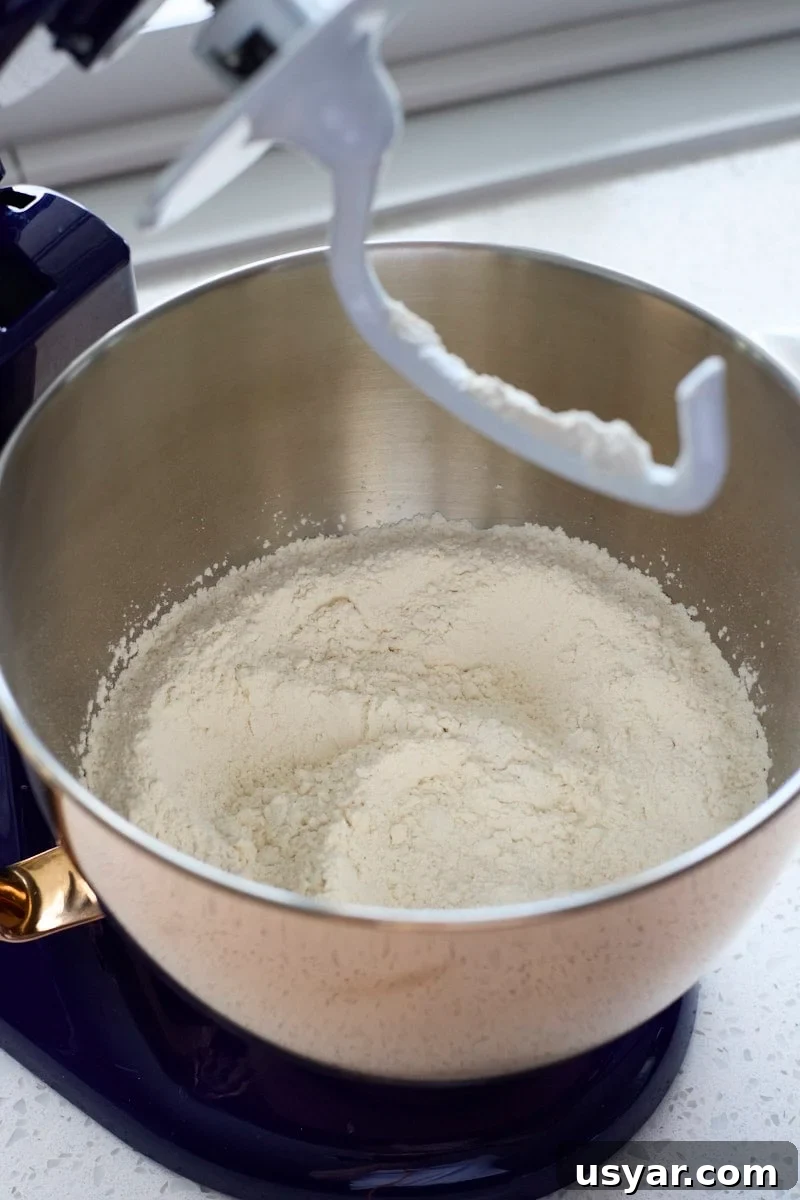 Cinnamon Raisin Sourdough Discard Bagels 4 Dry ingredients mixed in the bowl of a stand mixer.