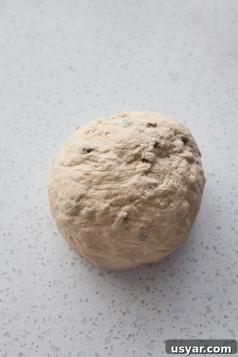 Cinnamon Raisin Sourdough Discard Bagels 6 Dough kneaded into a smooth ball.