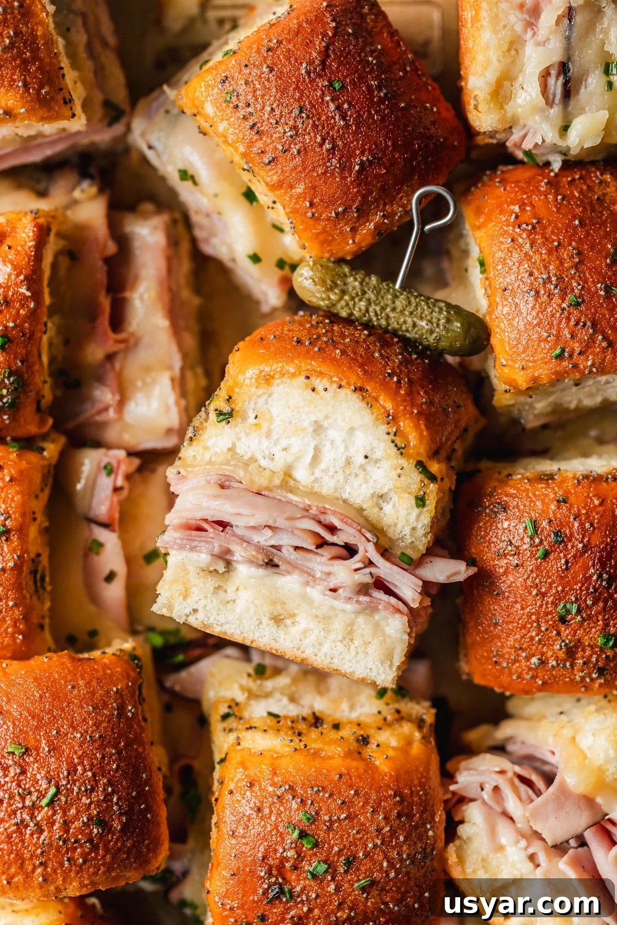 Oven Baked Brown Sugar Ham and Cheese Sliders 2 A slider with a pickle skewered to the top in the middle of rows of brown sugar ham and cheese sliders.
