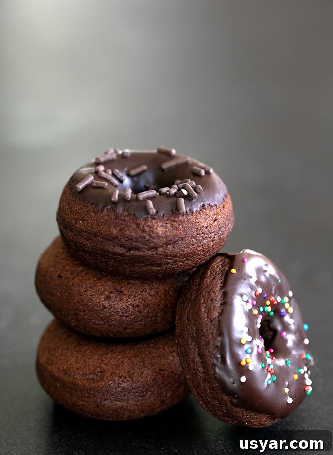 Gluten-Free Chocolate Donuts Recipe (Moist and Fudgy) 2 stack of gluten free chocolate cake donuts in a stack
