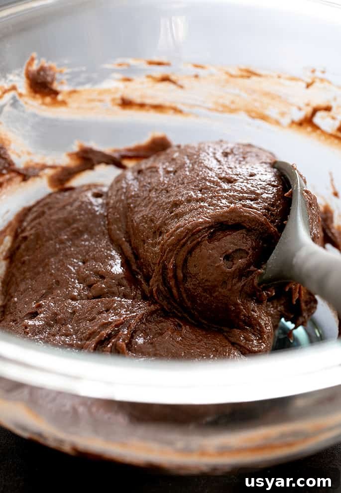 Gluten-Free Chocolate Donuts Recipe (Moist and Fudgy) 5 gluten free chocolate cake donut batter