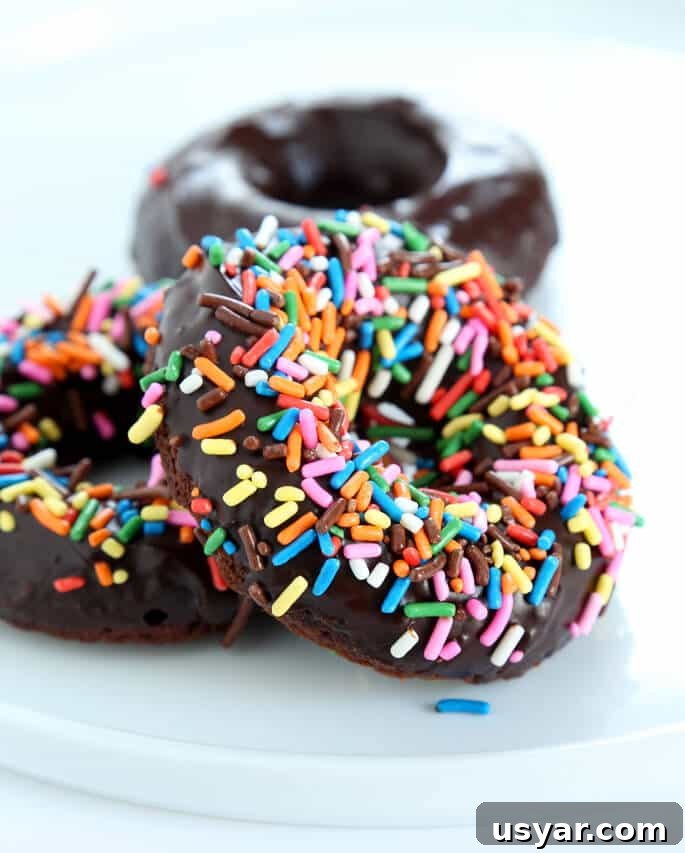 Gluten-Free Chocolate Donuts Recipe (Moist and Fudgy) 7 image of three chocolate cake donuts on a plate