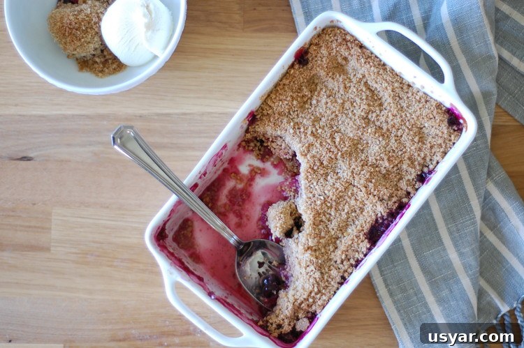 Whole Wheat Blueberry Apple Rhubarb Crisp Recipe 2 DSC_0987