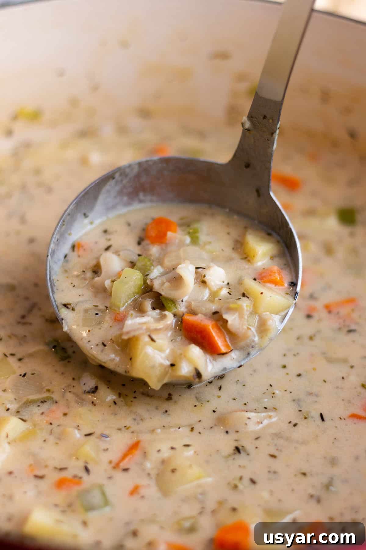 Creamy Razor Clam Chowder Recipe 7 A large Dutch Oven with fresh razor clam chowder with a ladle scooping some out.