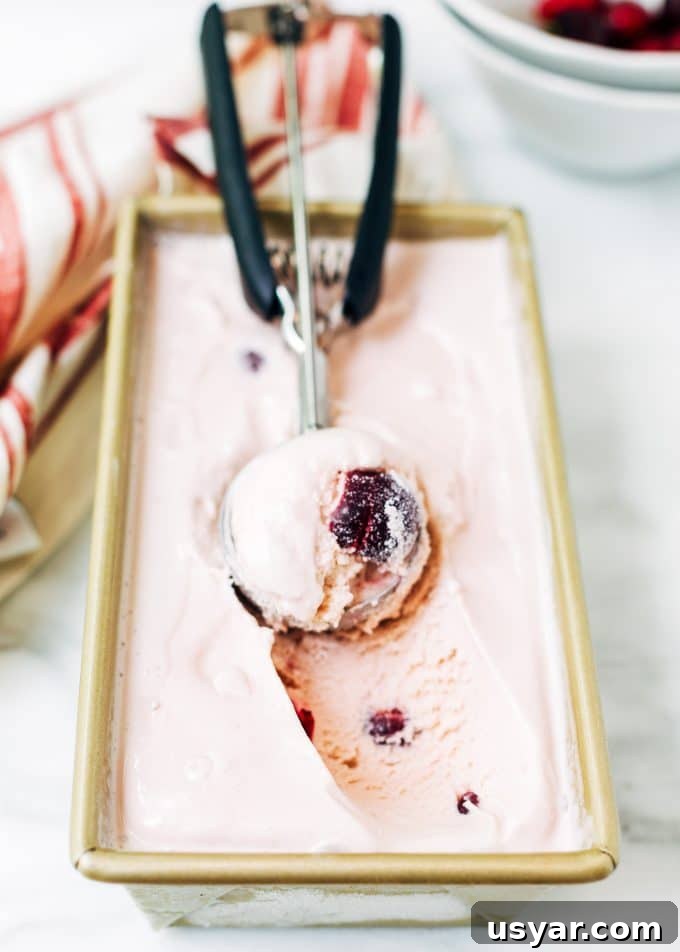 ice cream scoop of boozy cherry ice cream