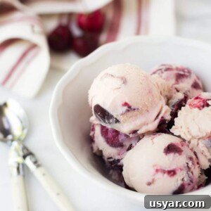 scoops of rum cherry ice cream in a white bowl