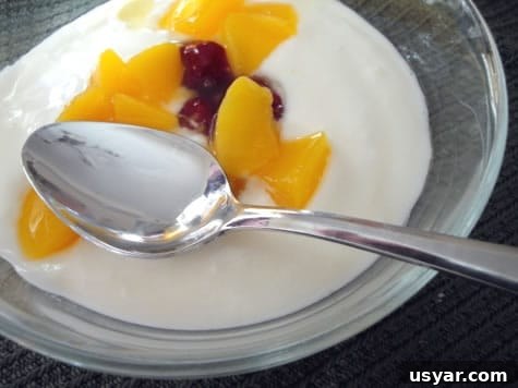 Homemade Yogurt Homemade Yogurt