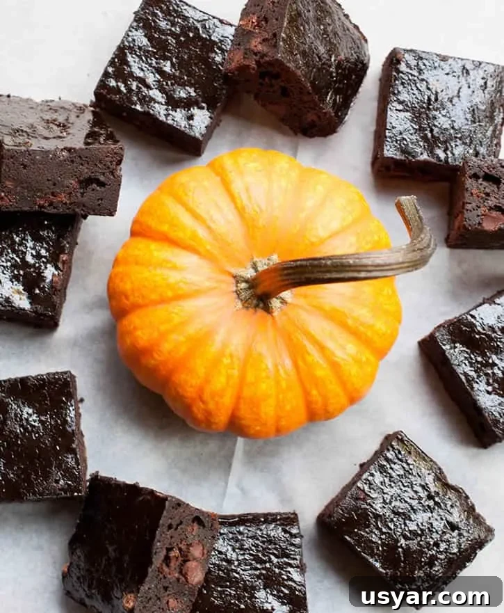 One Bowl Fudgy Pumpkin Brownies uses pumpkin puree and a hit of pumpkin spice. The texture is reminiscent of flourless chocolate cake mashed up with a pumpkin pie. So good!