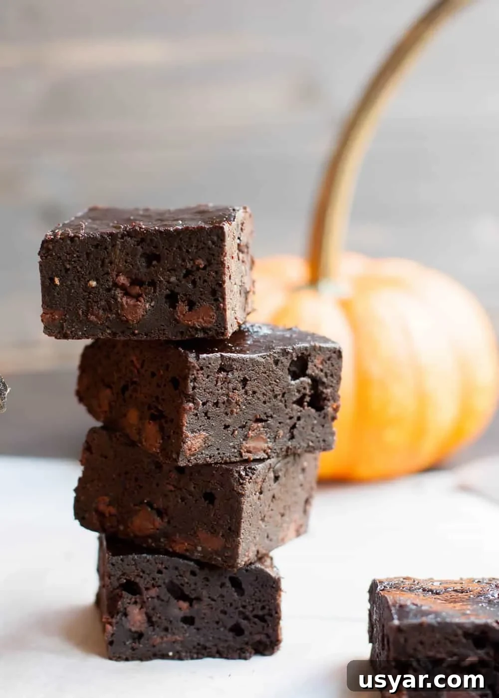 One Bowl Fudgy Pumpkin Brownies uses pumpkin puree and a hit of pumpkin spice. The texture is reminiscent of flourless chocolate cake mashed up with a pumpkin pie. So good!