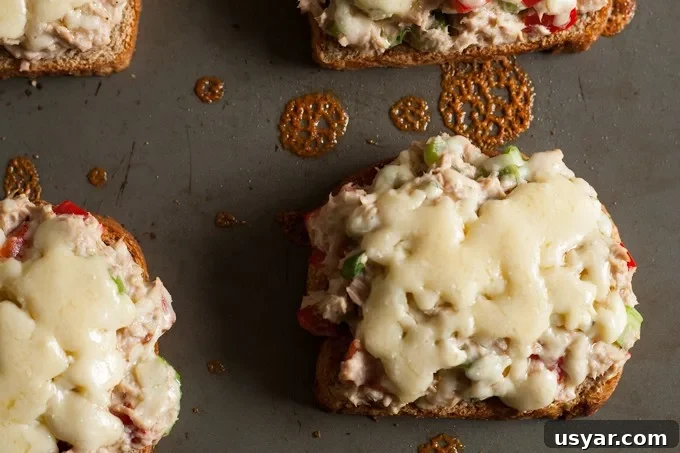 Blue Cheese Tuna Melt Sandwich Recipe 5 Prepared blue cheese tuna melt filling on toasted bread