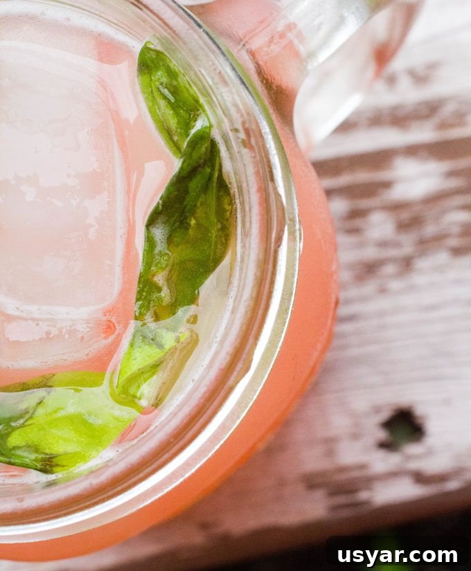 Coconut Rhubarb Basil Cocktail Coconut Rhubarb Basil Cocktail