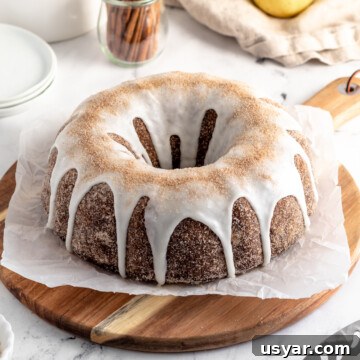 Moist Chocolate Pear Cake Recipe with Fresh Pears 4 img 6824 10