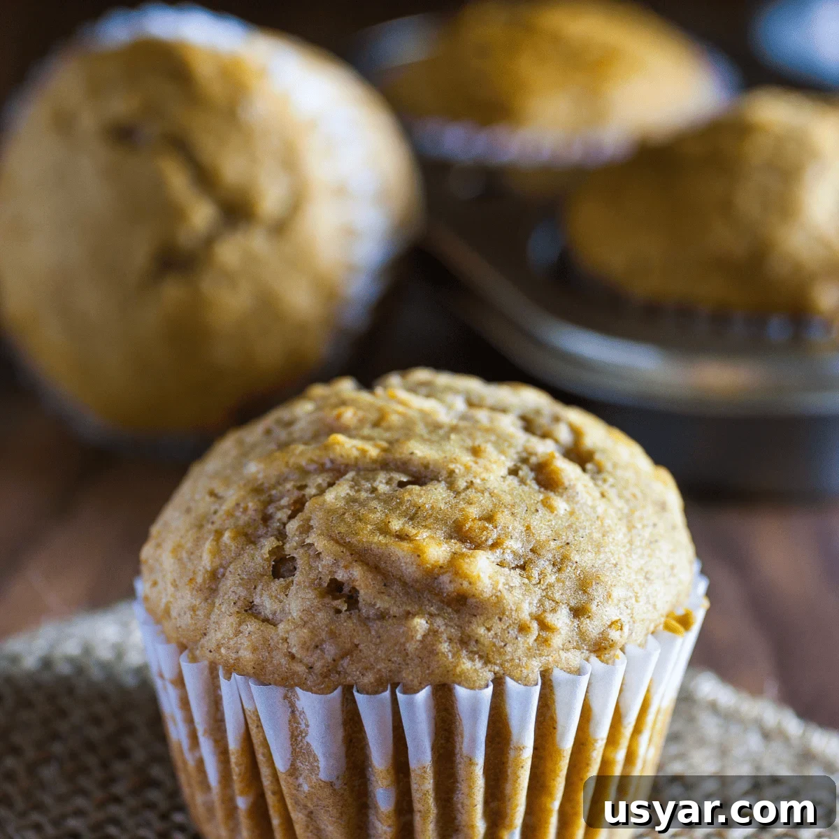 Should You Hide Vegetables in Your Child's Food? 6 carrot muffins are a good vegetable for picky eaters