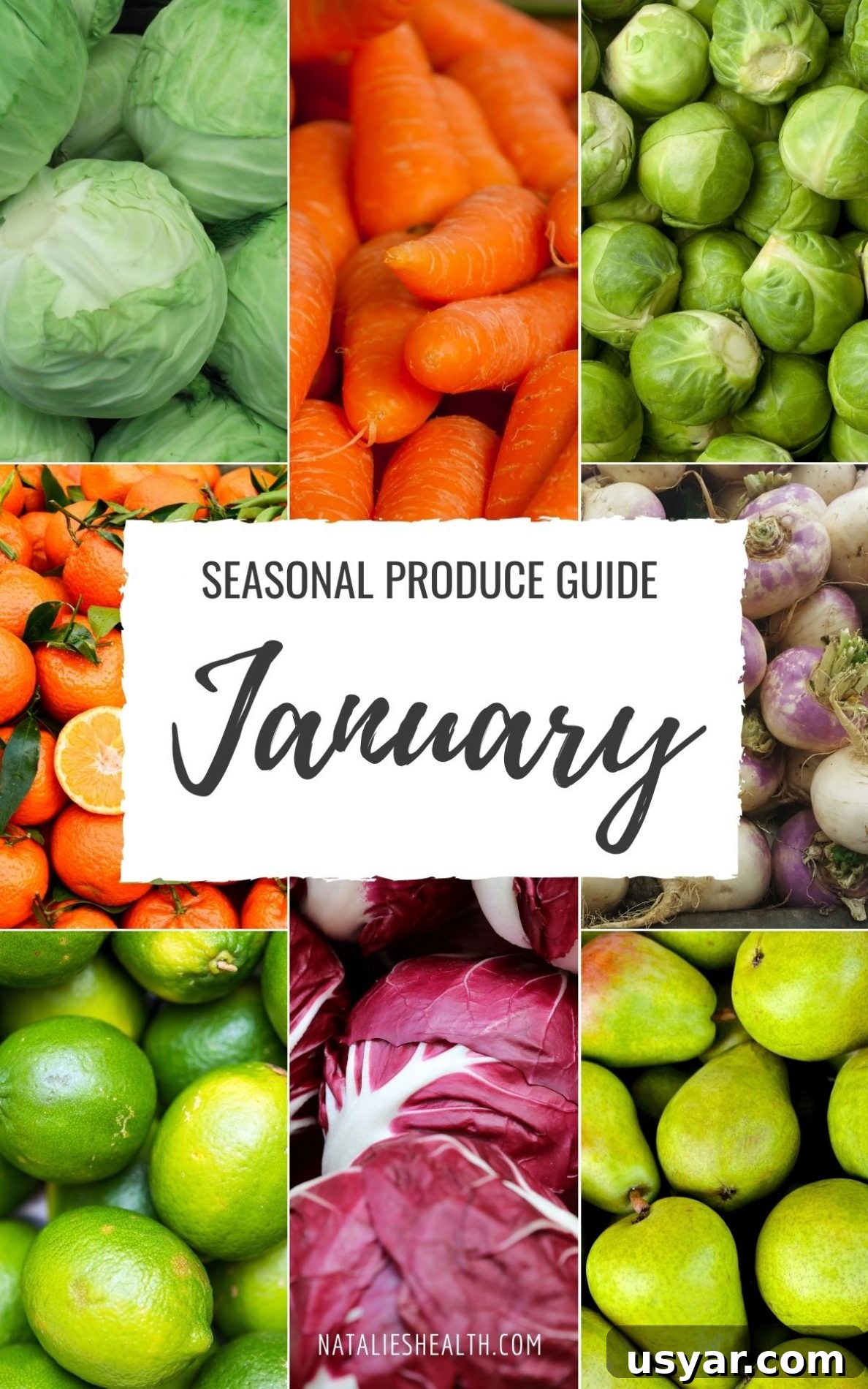 January seasonal produce guide with fresh winter fruits and vegetables