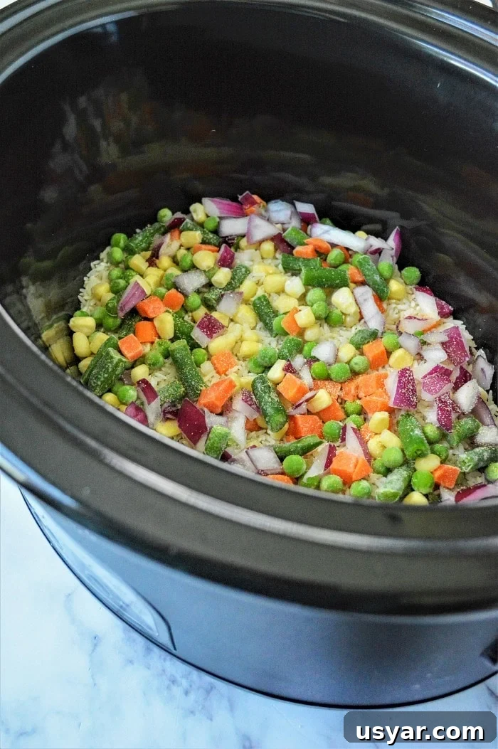 Slow Cooker Cheesy Chicken Casserole Recipe 5 crockpot chicken vegetable rice