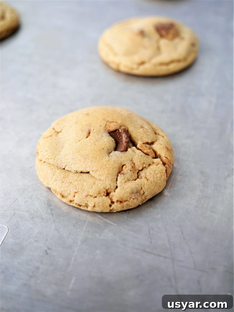 Reese's Peanut Butter Cup Cookies Recipe 7 img 7188 6