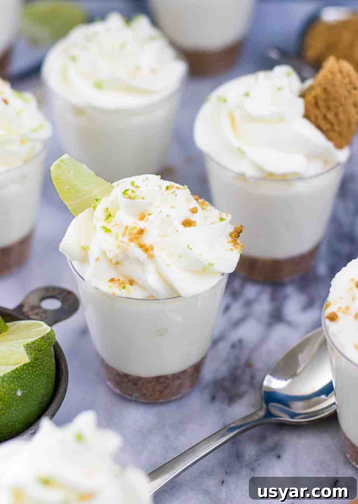 Key lime pie dessert shooters with gingersnap crust -- via SugarSpunRun