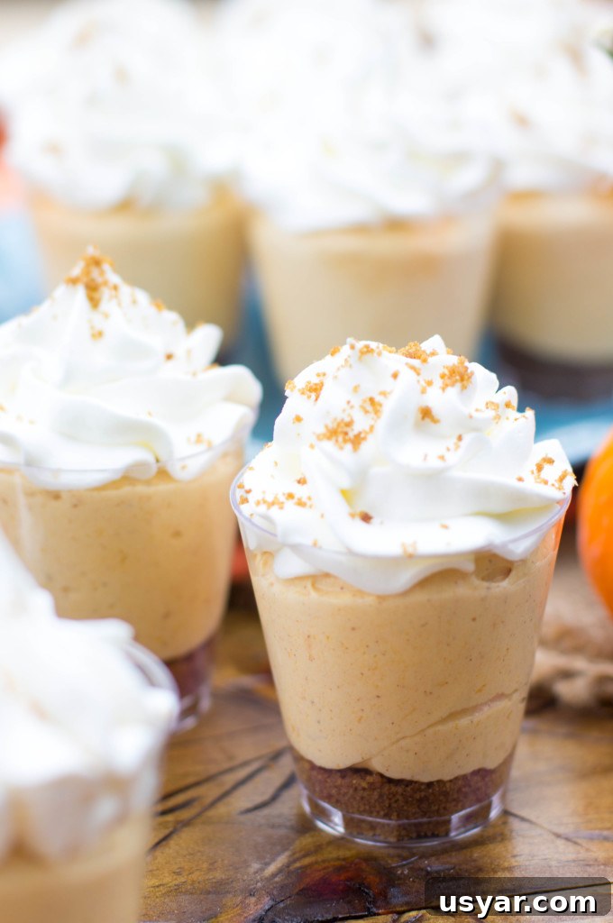 Pumpkin Pie Dessert Shooters
