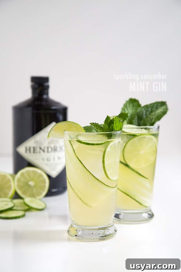 Sparkling Cucumber Mint Gin Cocktail Recipe 2 Sparkling Cucumber Mint Gin | the little epicurean