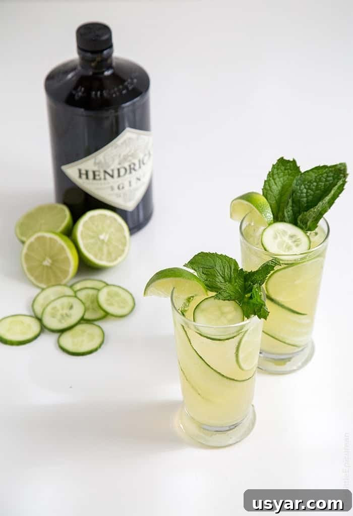 Sparkling Cucumber Mint Gin Cocktail Recipe 3 Sparkling Cucumber Mint Gin | the little epicurean