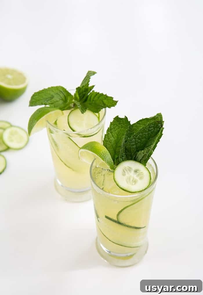 Sparkling Cucumber Mint Gin Cocktail Recipe 4 Sparkling Cucumber Mint Gin | the little epicurean