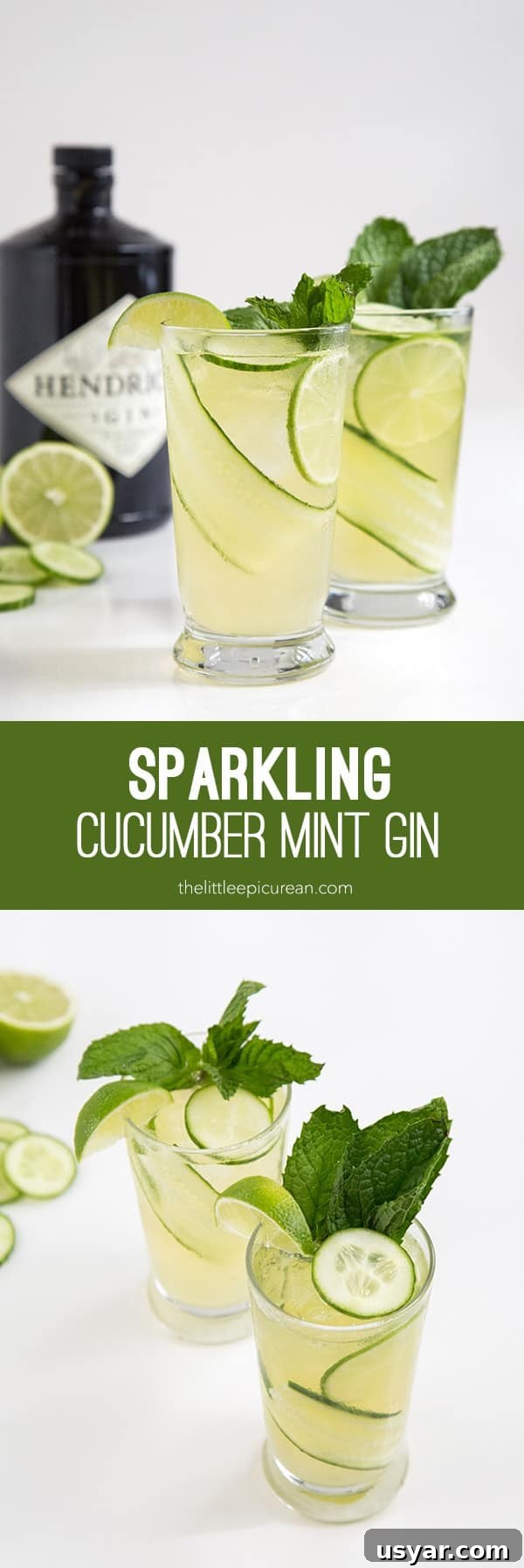 Sparkling Cucumber Mint Gin Cocktail Recipe 5 Sparkling Cucumber Mint Gin