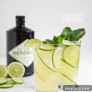 Sparkling Cucumber Mint Gin Cocktail Recipe 6 Cucumber Mint Gin and Tonic | the little epicurean