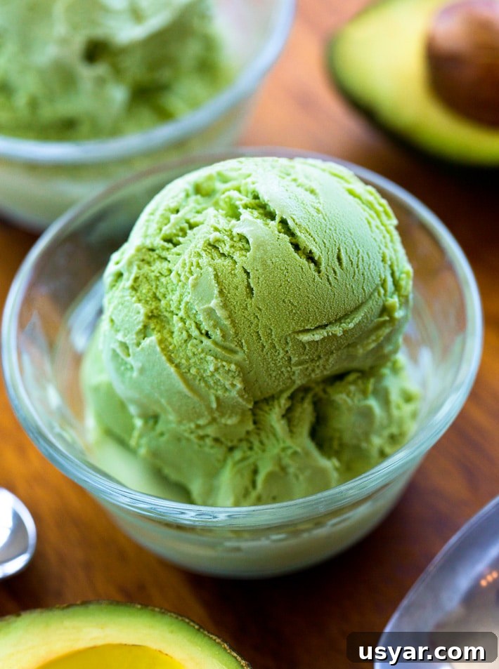 Avocado Ice Cream Recipe Avocado Ice Cream Recipe