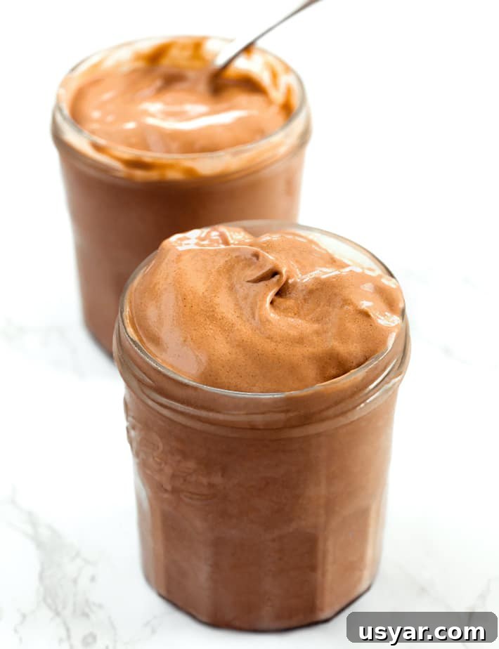 Creamy Avocado Ice Cream Recipe 3 Homemade Wendy's Frosty Recipe