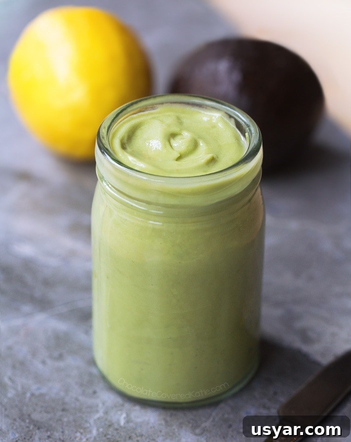 Creamy Avocado Ice Cream Recipe 6 Avocado Mayo Recipe