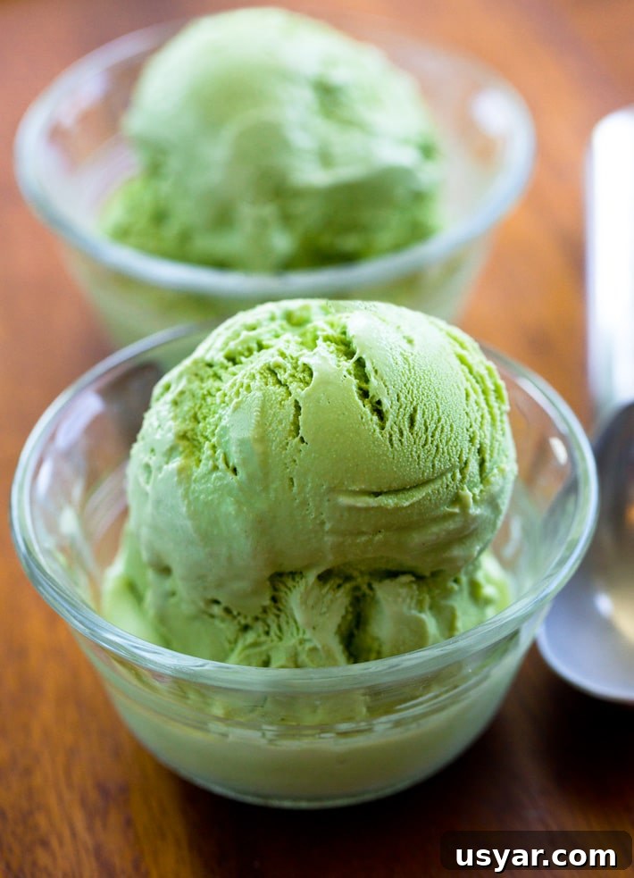 Vegan Avocado Ice Cream Recipe Vegan Avocado Ice Cream Recipe