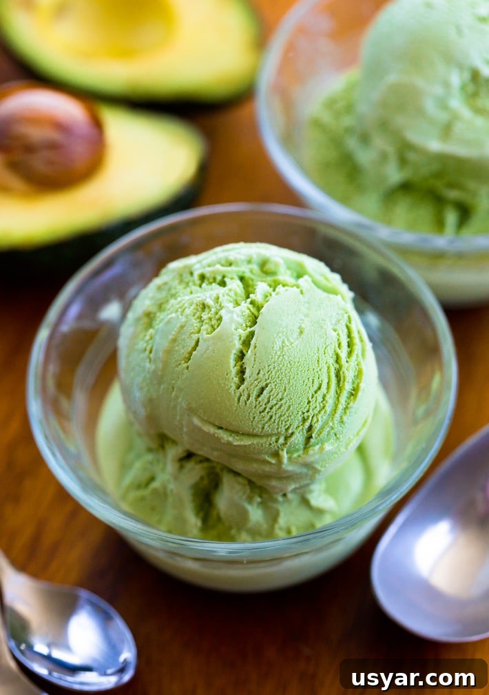 Creamy Dairy Free Frozen Avocado Dessert Creamy Dairy Free Frozen Avocado Dessert