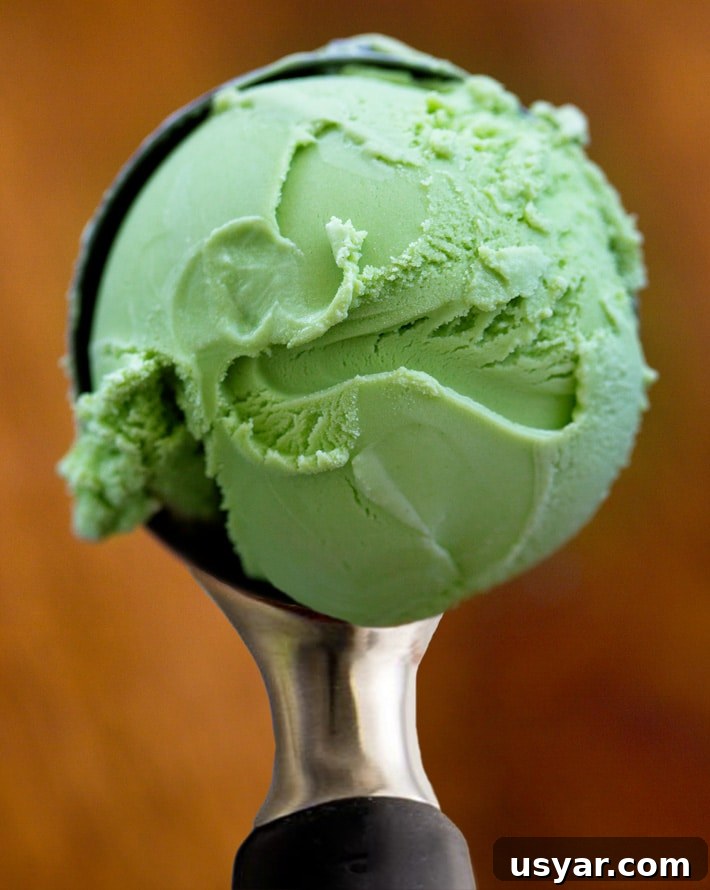 Scoop Of Ice Cream Scoop Of Ice Cream
