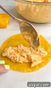 Buffalo Chicken Taquitos