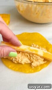 Crispy Buffalo Chicken Taquitos Recipe 5 Buffalo Chicken Taquitos