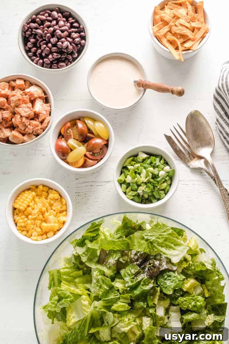 Salad ingredients laid out in bowls, beans, corn, lettuce, chips, chicken, and salad dressing.
