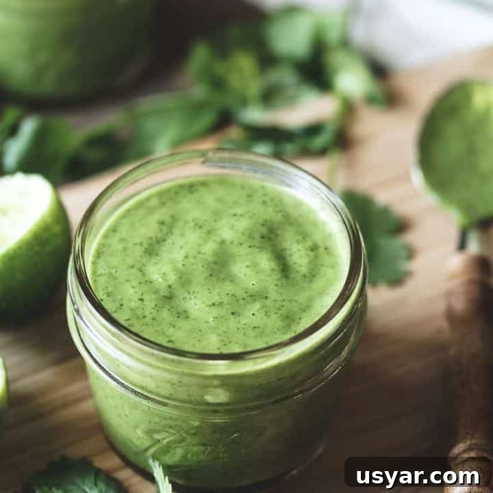 Cilantro lime vinaigrette image