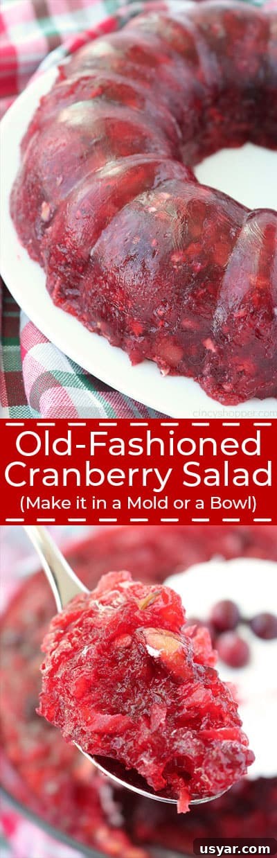 Old Fashioned Cranberry Salad with Pineapple and Pecans 17 Old-Fashioned Cranberry Salad.