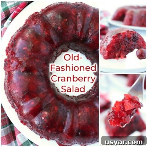 Old Fashioned Cranberry Salad with Pineapple and Pecans 18 Collage images of Cranberry Jello Mold.