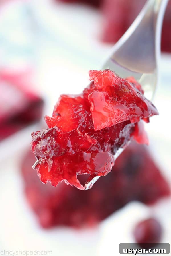 Old Fashioned Cranberry Salad with Pineapple and Pecans 5 Cranberry Jello Salad on a fork.