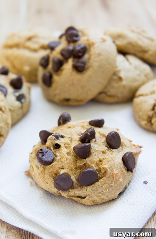 3-Ingredient Pumpkin Cloud Cookie Recipe with Chocolate Chips 3 3 Ingredient Pumpkin Cloud Cookies with Chocolate Chips