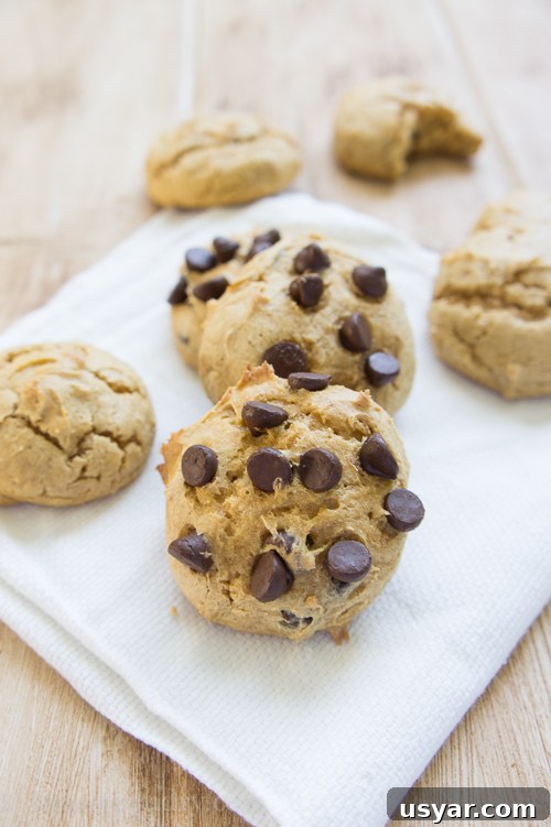 3-Ingredient Pumpkin Cloud Cookie Recipe with Chocolate Chips 4 3 Ingredient Pumpkin Cloud Cookies with Chocolate Chips