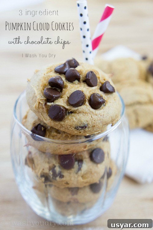 3-Ingredient Pumpkin Cloud Cookie Recipe with Chocolate Chips 5 3 Ingredient Pumpkin Cloud Cookies with Chocolate Chips