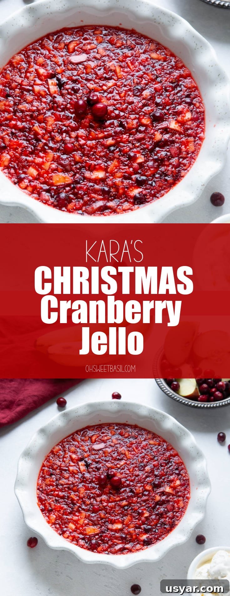 a photo of a white ceramic pie dish full of cranberry jell-o with fresh cranberries scattered around the dish.