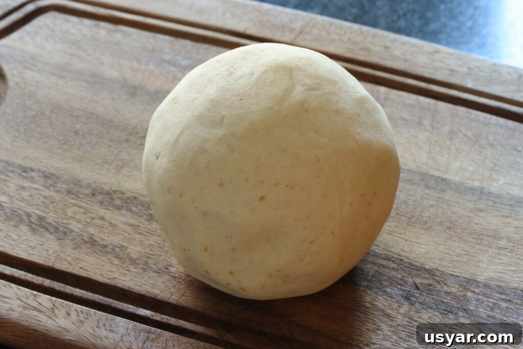 Gluten-Free Vegan Tortillas Recipe 3 Cassava flour dough ball