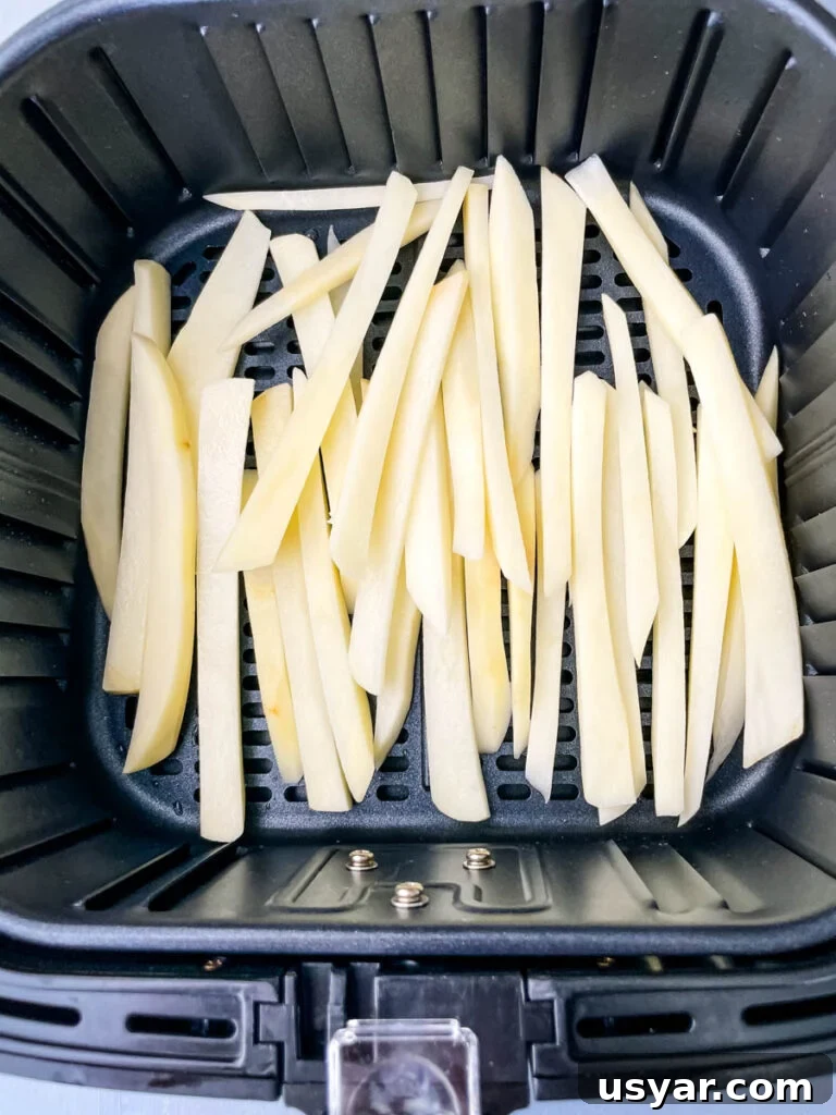 Crispy Homemade Air Fryer French Fries 6 sliced potatoes in an air fryer